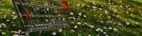 trgovine in poslovalnice odpiralni časi KZ Šaleška dolina TPC Šoštanj SAŠA Nazarje KT Velenje Šmartno ob Paki