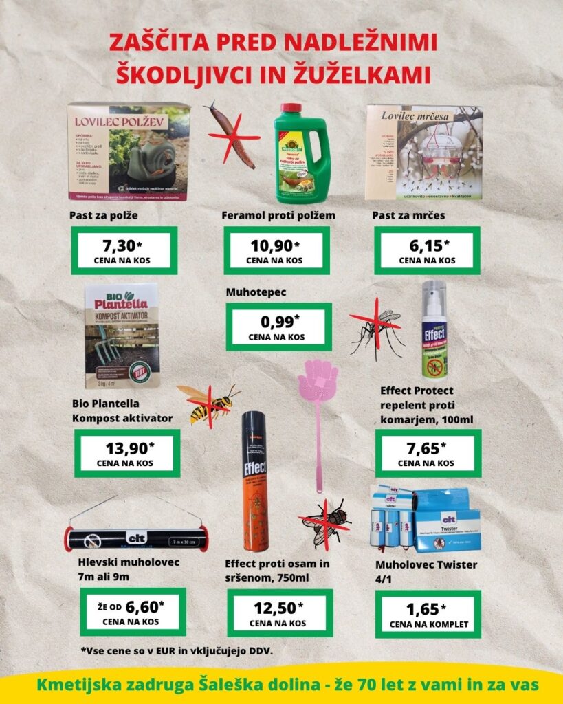 Letak meseca avgusta 2025 KZŠD