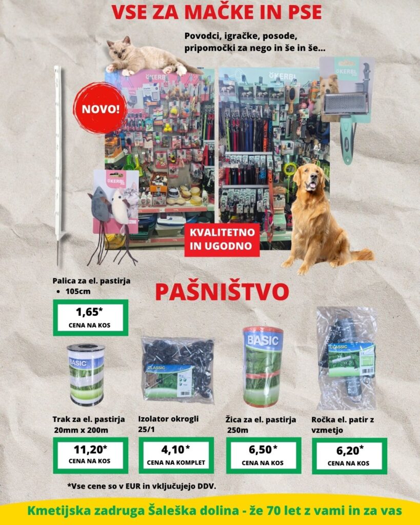 Letak meseca avgusta 2025 KZŠD