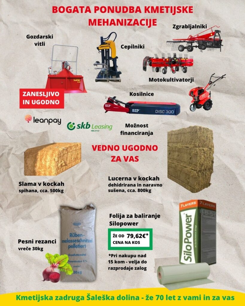 Letak meseca avgusta 2025 KZŠD