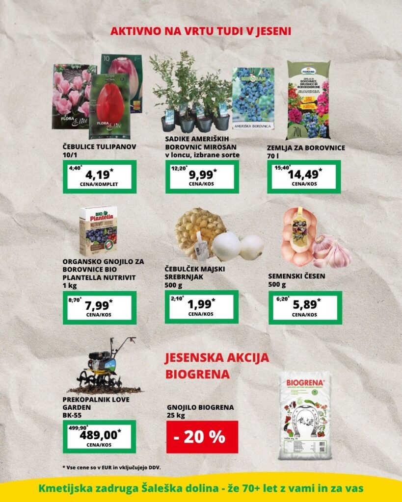 Čebulice tulipanov, sadike borovnic, čebulček, semenski česen, gnojila in prekopalnik.